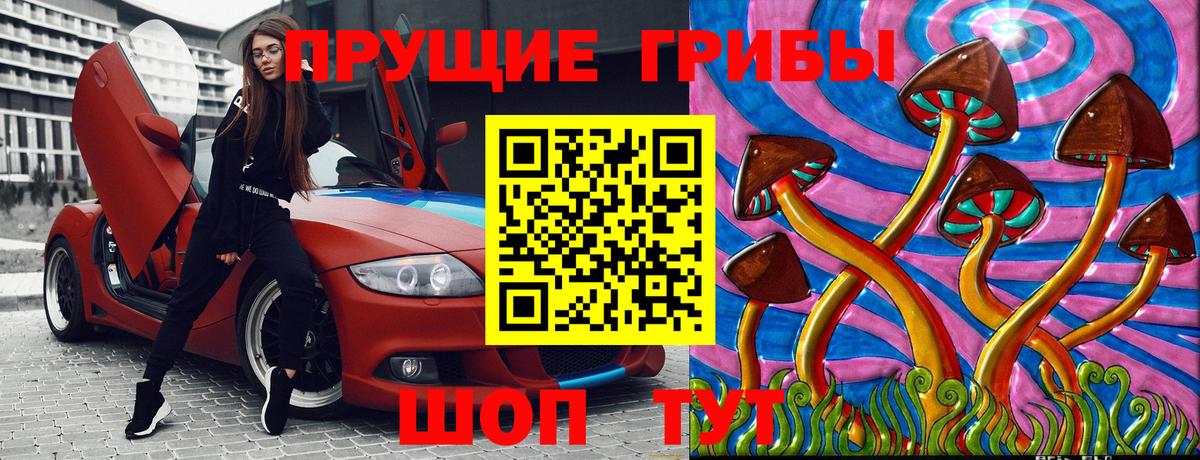 Псилоцибиновые грибы Cubensis  Псилоцибиновые грибы прущие грибы  наркошоп  Дербент 