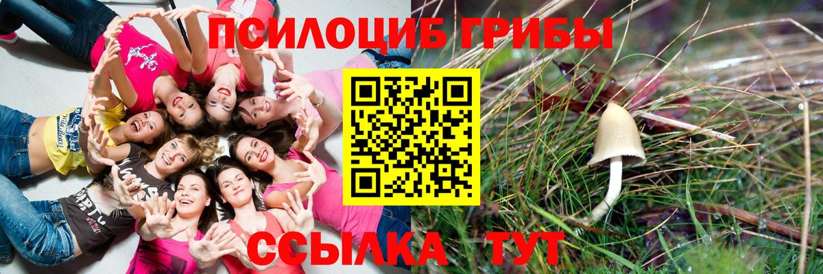 Дербент  Псилоцибиновые грибы GOLDEN TEACHER  Псилоцибиновые грибы Psilocybine cubensis  Вход с VPN 